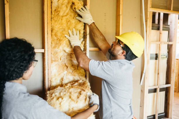 Best Spray Foam Insulation  in Brookside Village, TX
