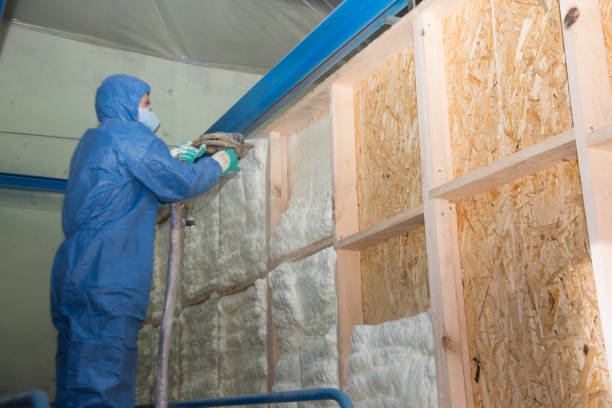 Best Affordable Insulation Services  in Brookside Village, TX